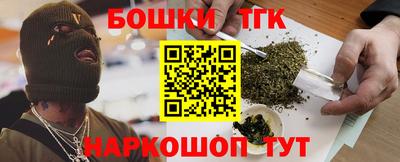 индика Тула
