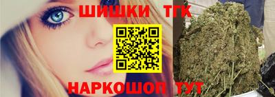 индика Тула